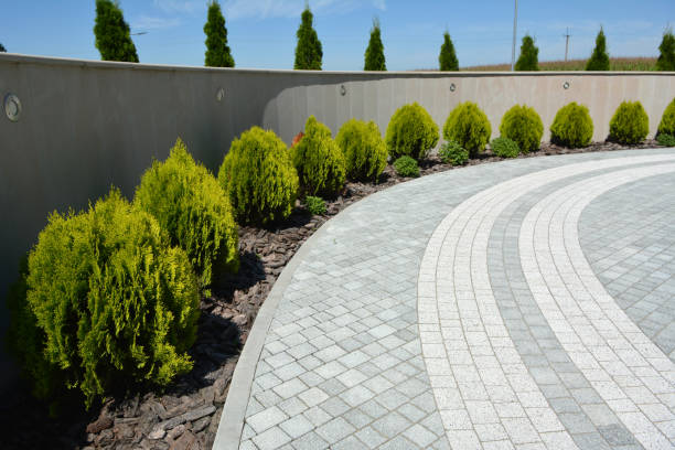 Best Decorative Driveway Pavers  in Cross Plains, WI